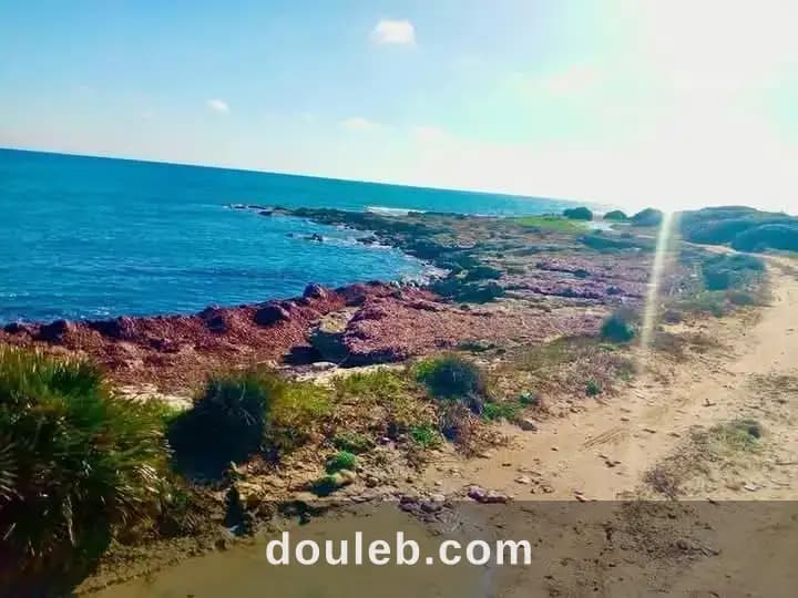 Kelibia kerkouen - Photo 1