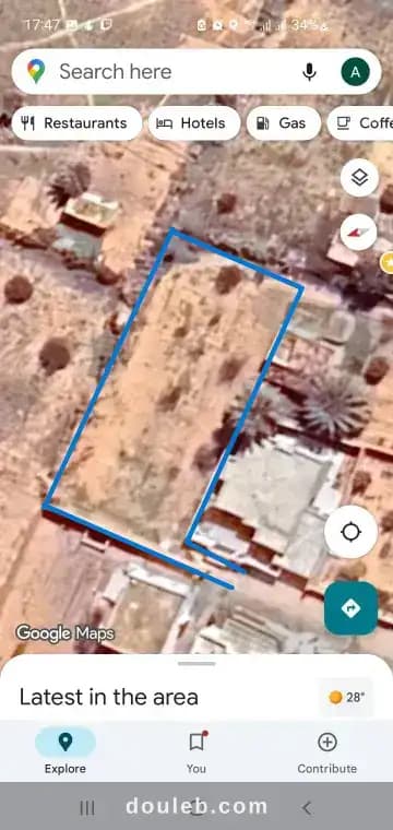 Terrain sfax thyna - Photo 1
