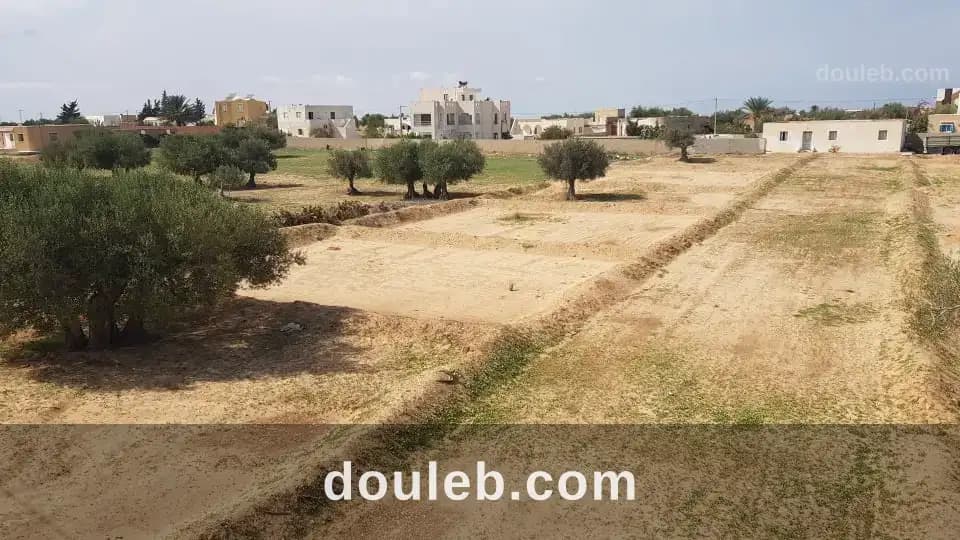 Lotissement titré - Photo 1