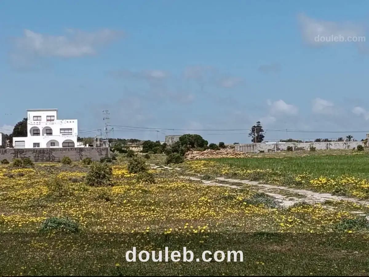 Terrain menzel elhor - Photo 1