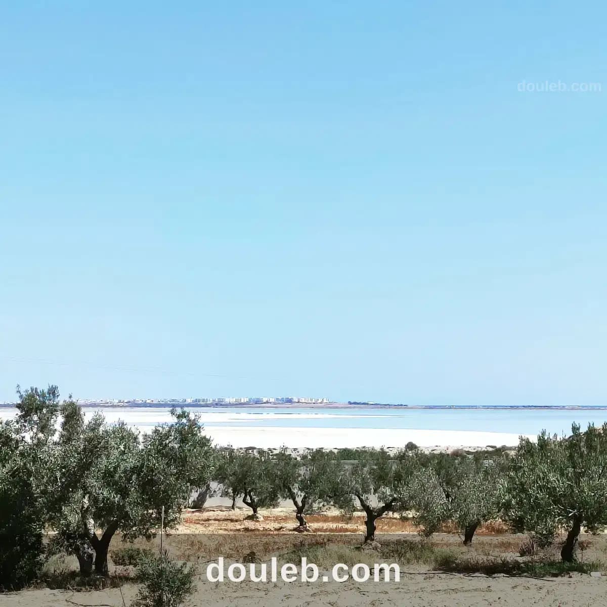 Terrain avec vue panoramique foukaia - Photo 1