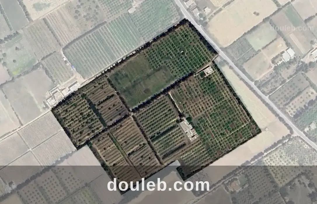 Senia 8 hectares slimene - Photo 1