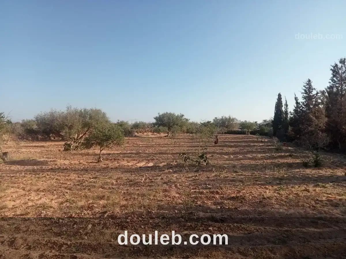 Terrain potentiel à 3 km de houmt souk - Photo 1