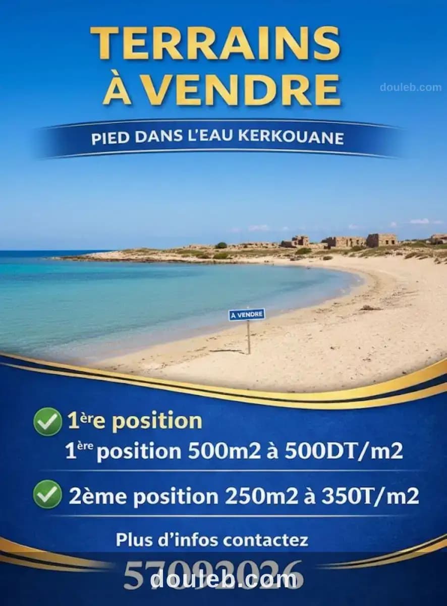 A3meli annonce à kerkouane kélibia - Photo 1