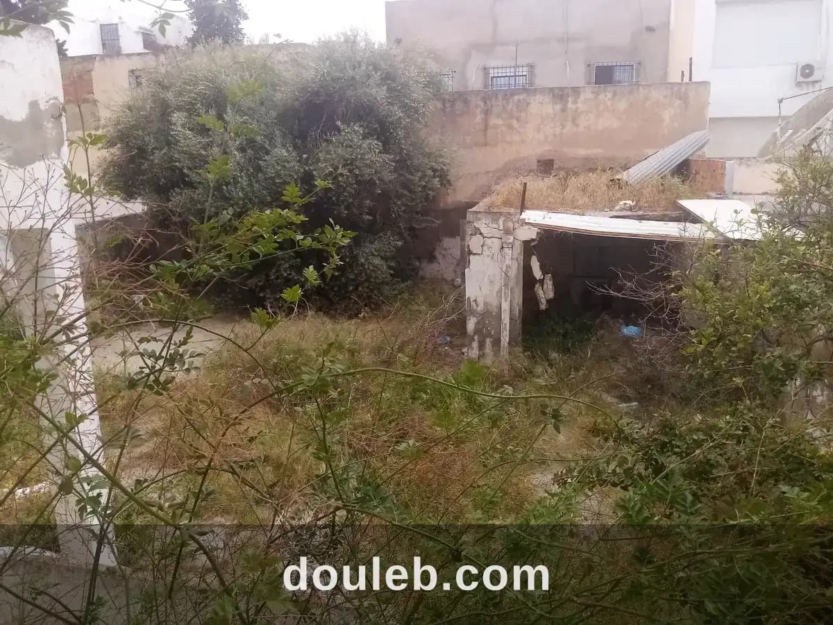 Super occasion terrain 425m2 titre bleu khaireddin à Tunis