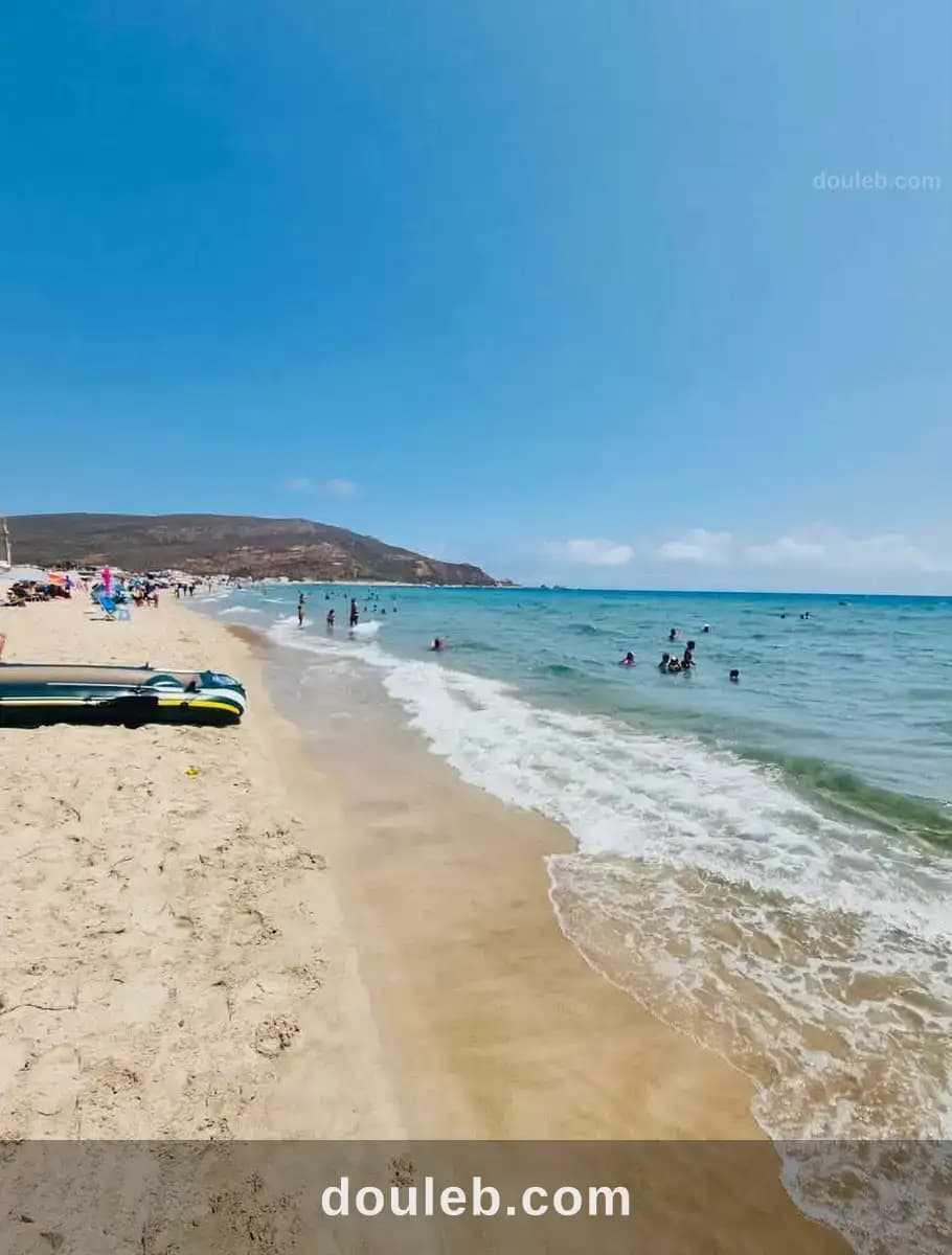 Une opportunité idéale terrains a haouaria à Nabeul
