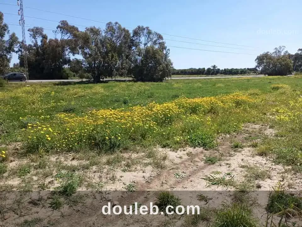 Des terrains a hawaria sur route principale à Nabeul