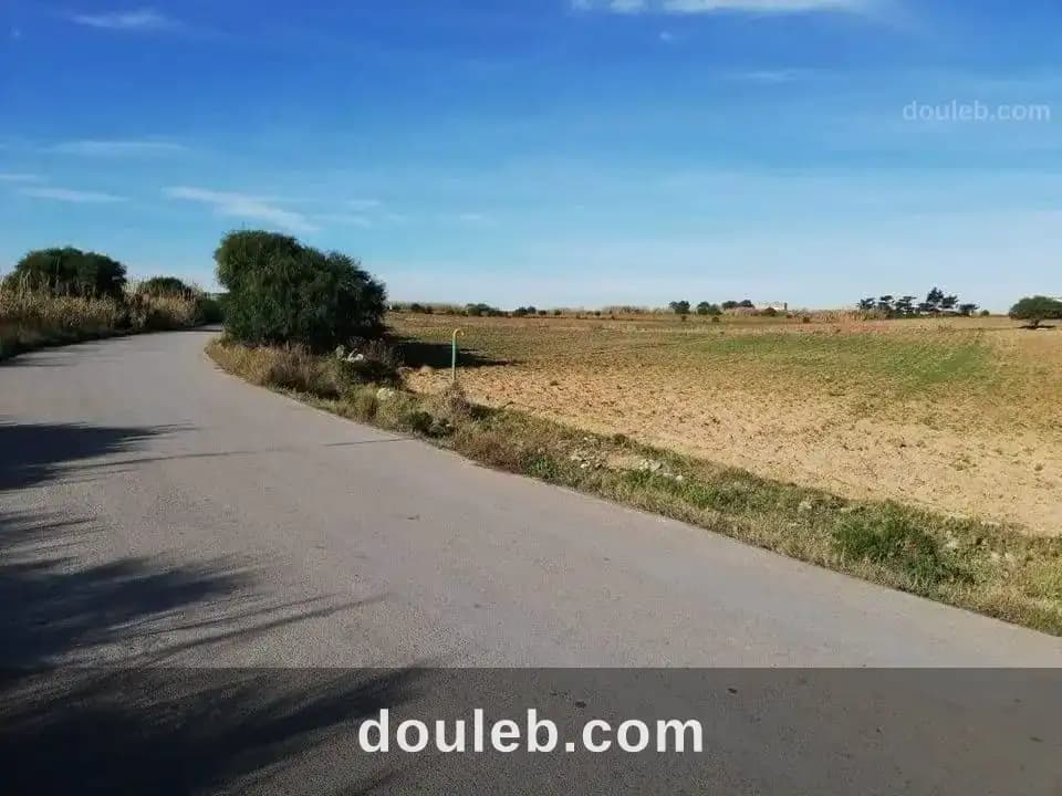Terrain a el haouaria avec prix resonnable à Nabeul
