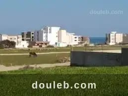 Investissez l'esprit tranquille à Nabeul