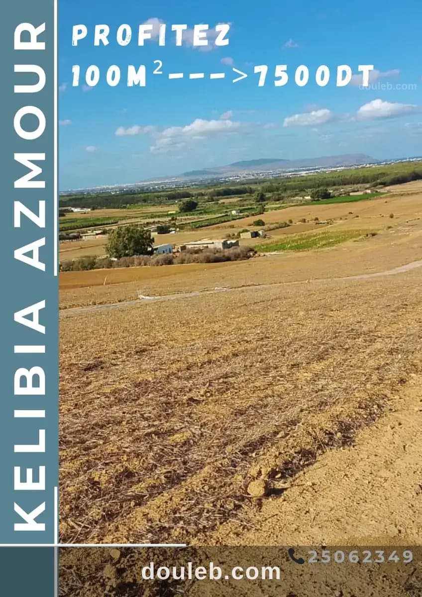 Azmour kelibia disponible des terrains à Nabeul