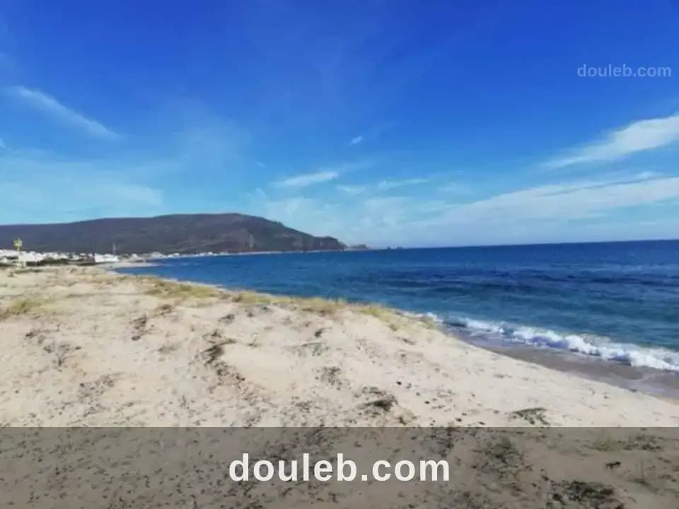Offre fin d'annee hawaria à Nabeul