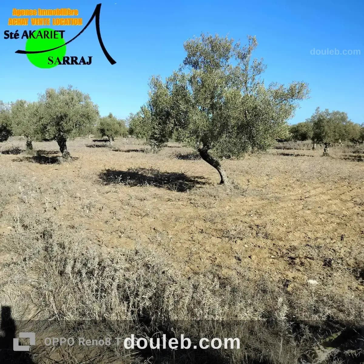 Lot d'investissement 2800m derrière karting hergla à Sousse