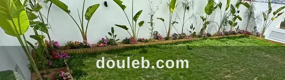 Appartement s2 à Tunis