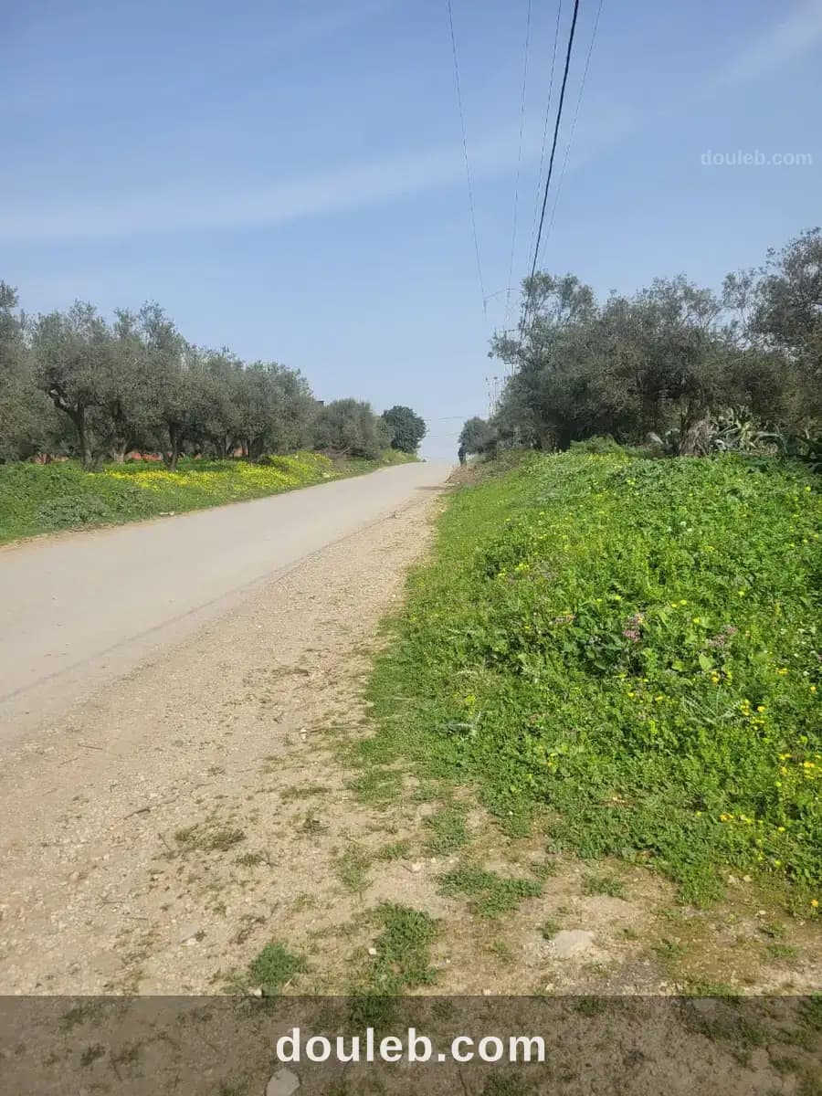 Terrain bni mislem à Bizerte