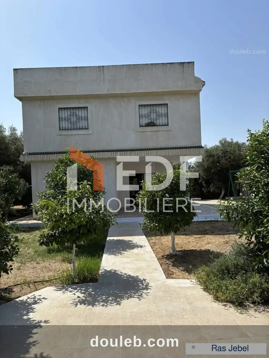 Maison avec senia à ras jebel bizerte - Photo 1