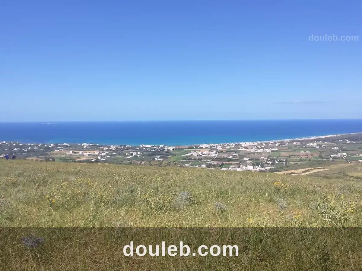 Terrain a ras jbal - Photo 1
