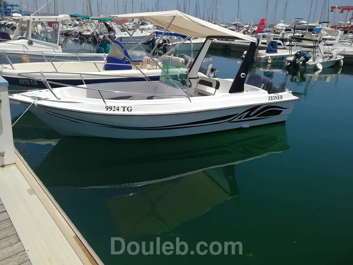 Bateaux de plaisance 7 places - Miniature 2