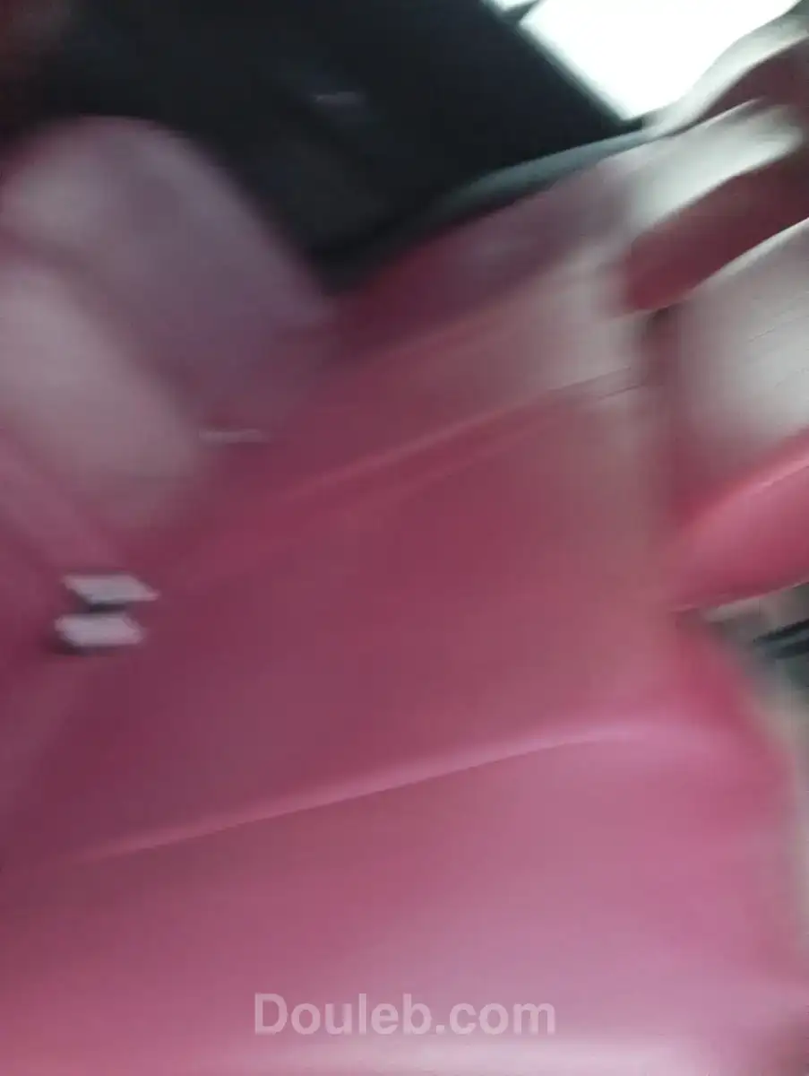 Megane 2 dci - Miniature 3