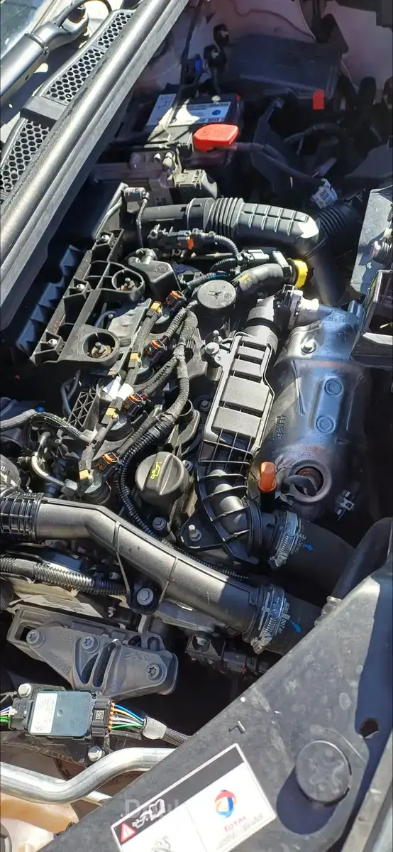 Peugeot partner k9 - Miniature 4