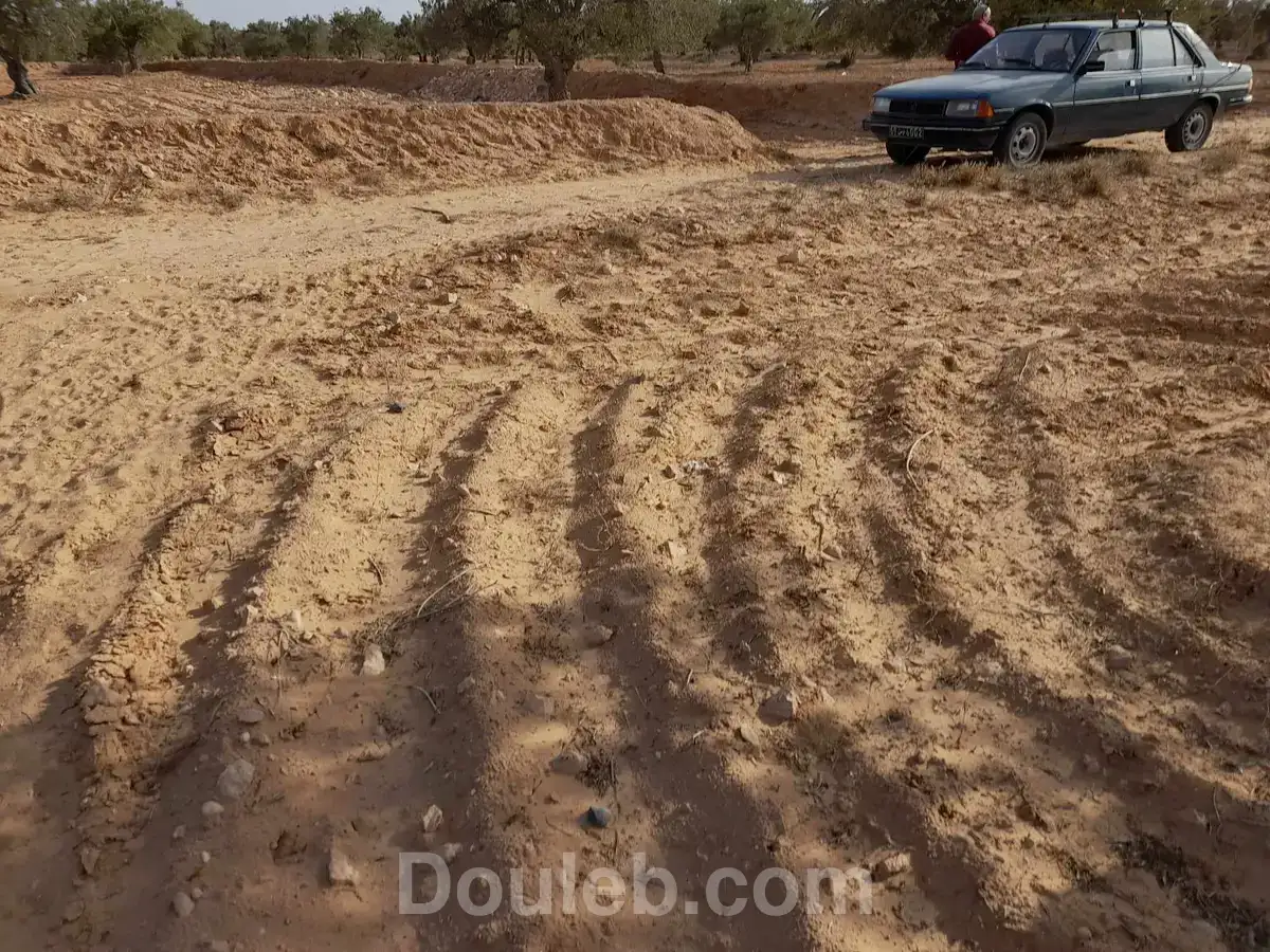 Clientant de voiture peugeot 305 nouveau modèle - Miniature 2