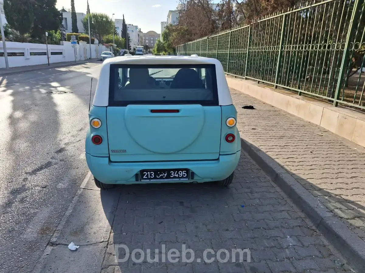 Wallys iris - Miniature 3