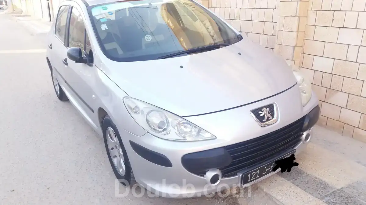 Peugeot 307 phase 2 - Miniature 2