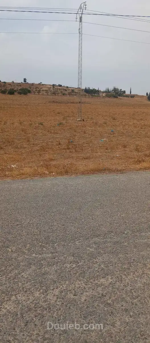 Terrain au bord de route - Miniature 2