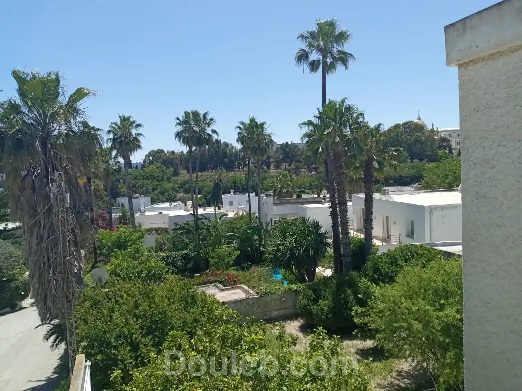 Villa de charme a carthage - Miniature 2