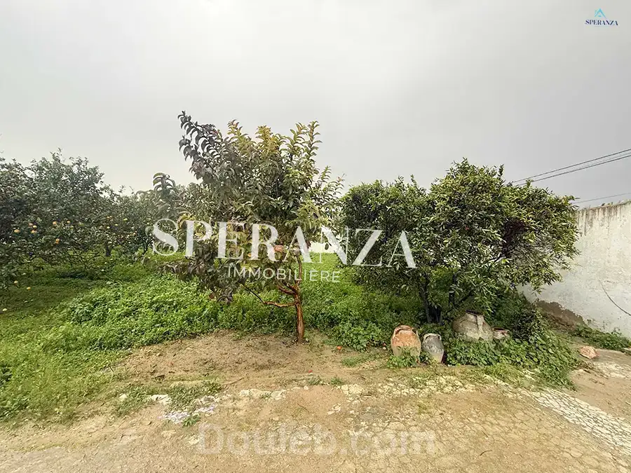 Terrain viviana - Miniature 3