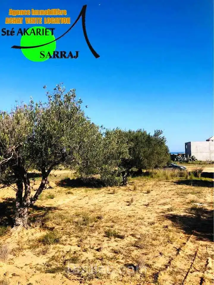 Terrain 406m vue de mer à koussour gharnata - Miniature 3