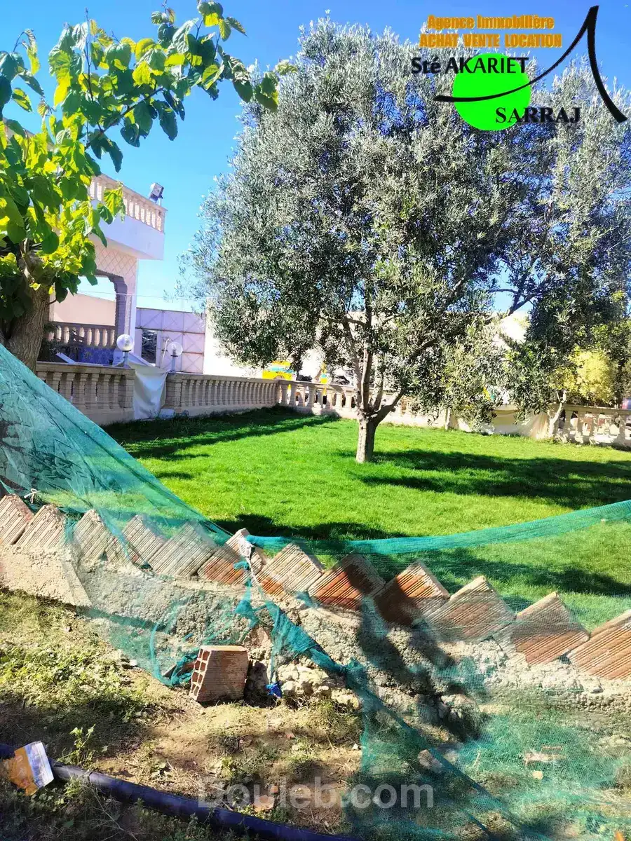 Senya 2 hectares à kalaa kebira vers el henya - Miniature 4