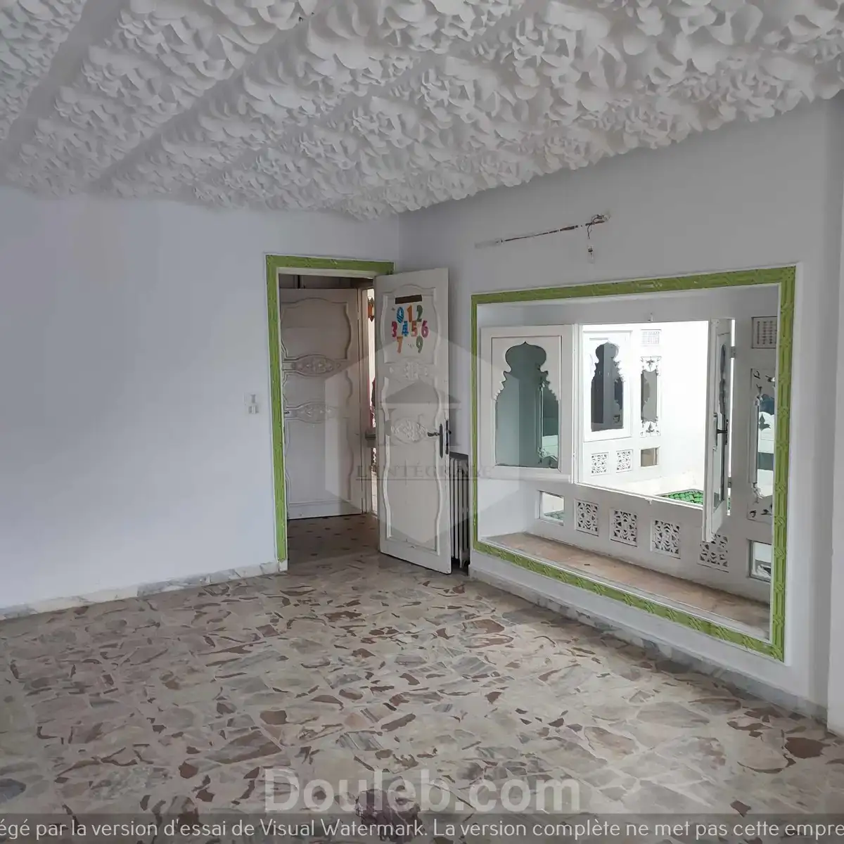 Immense villa à usage commercial avec jardin - Miniature 2