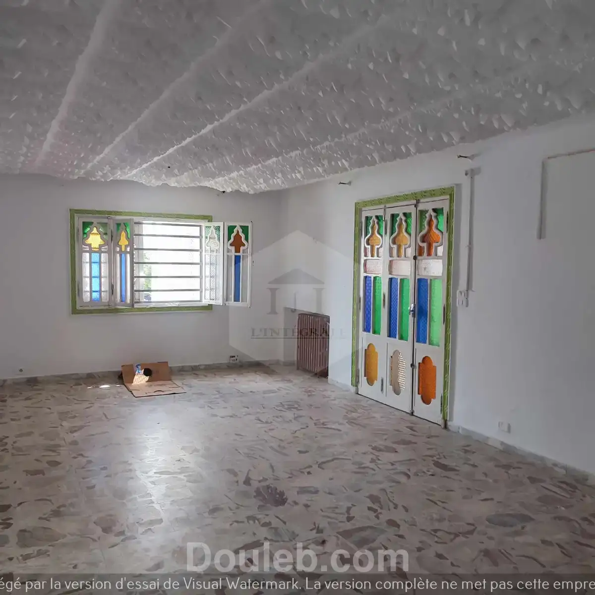 Immense villa à usage commercial avec jardin - Miniature 3