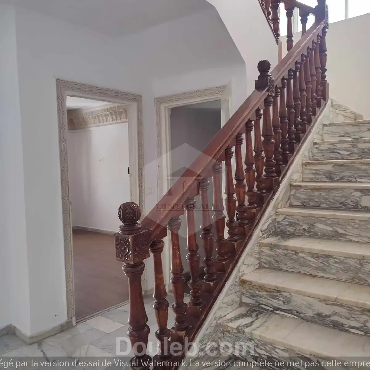 Immense villa à usage commercial avec jardin - Miniature 4