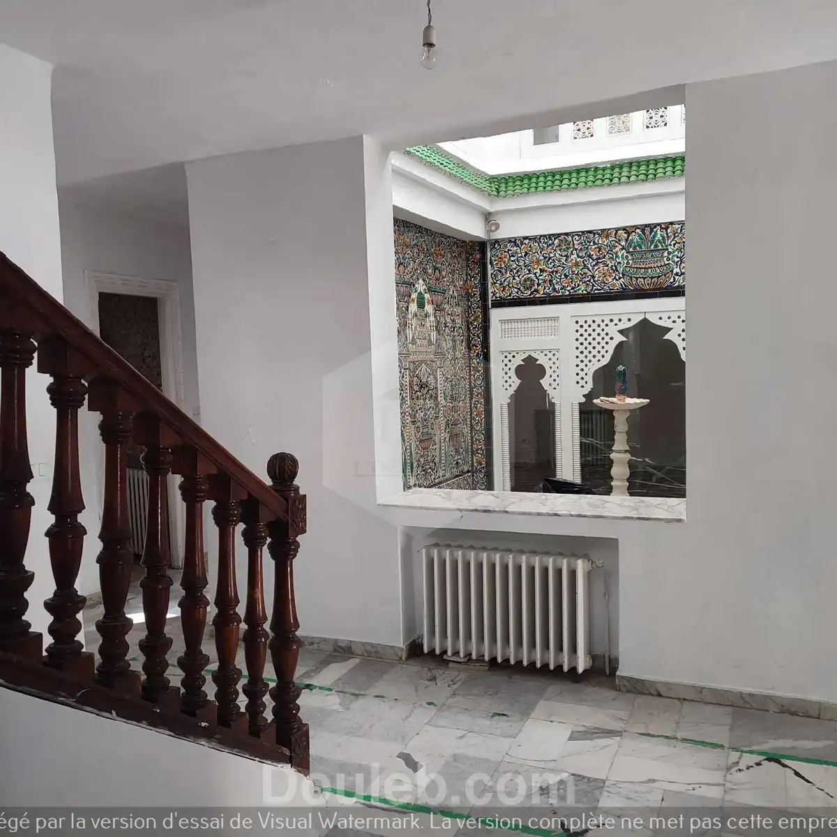 Immense villa à usage commercial avec jardin - Miniature 5