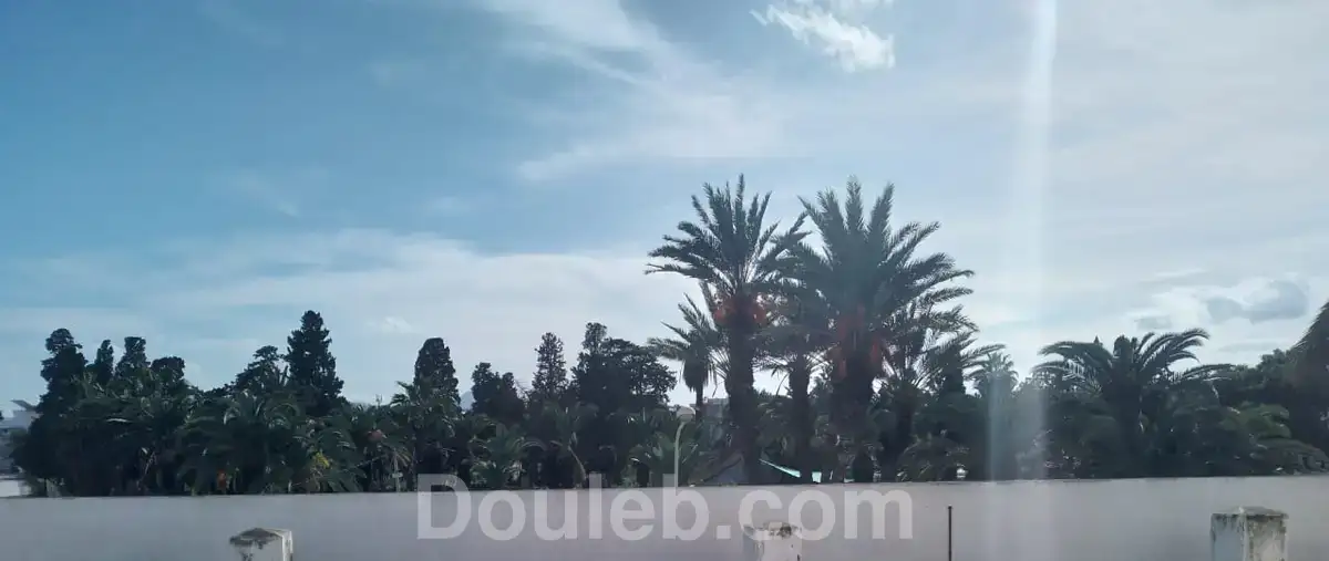 Bureaux 1ier niveau d'un immeuble au kram centre - Miniature 2