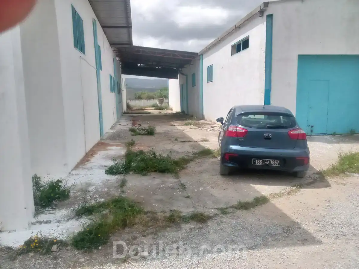 Local industriel dépôt grombalia gp1 km 35 - Miniature 3