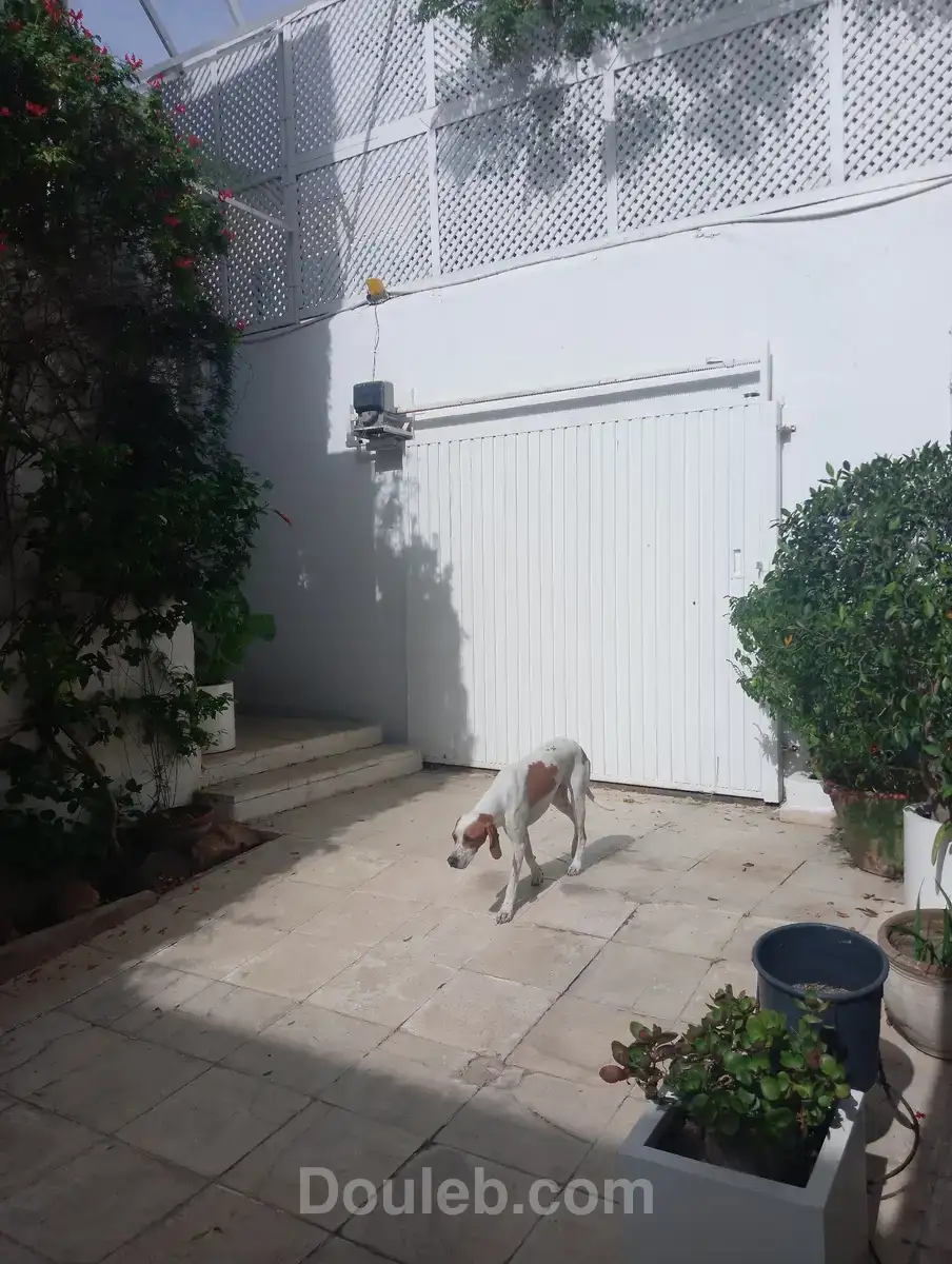 Belle villa à saisir - Miniature 5