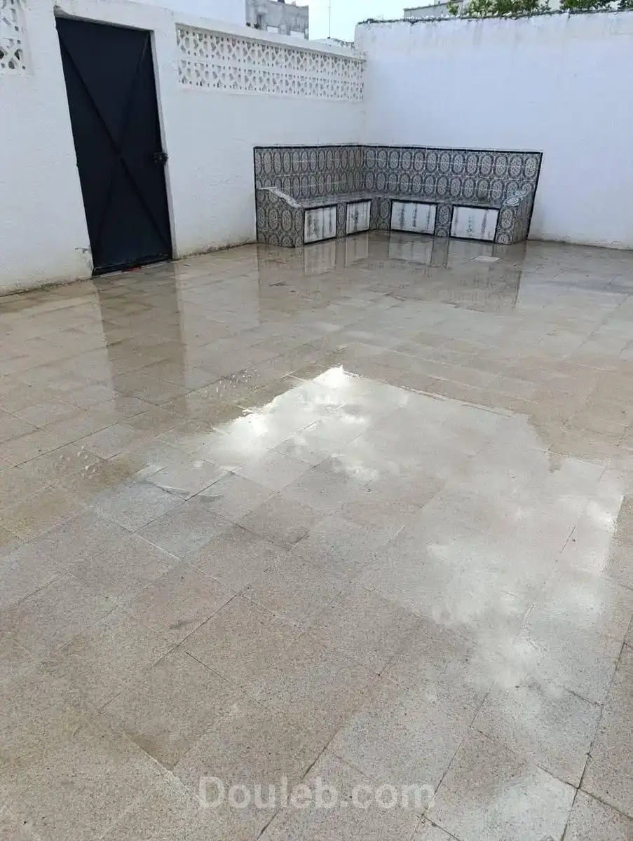 Duplex ibn sina - Miniature 2