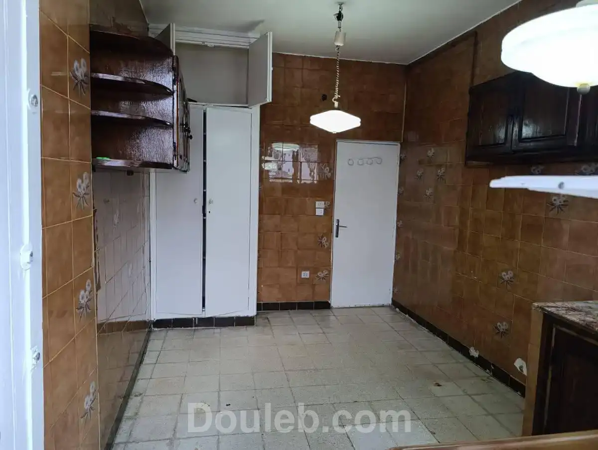 Duplex ibn sina - Miniature 5