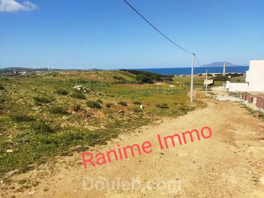 Terrain de 1520m2 a la mer el haouaria - Miniature 3