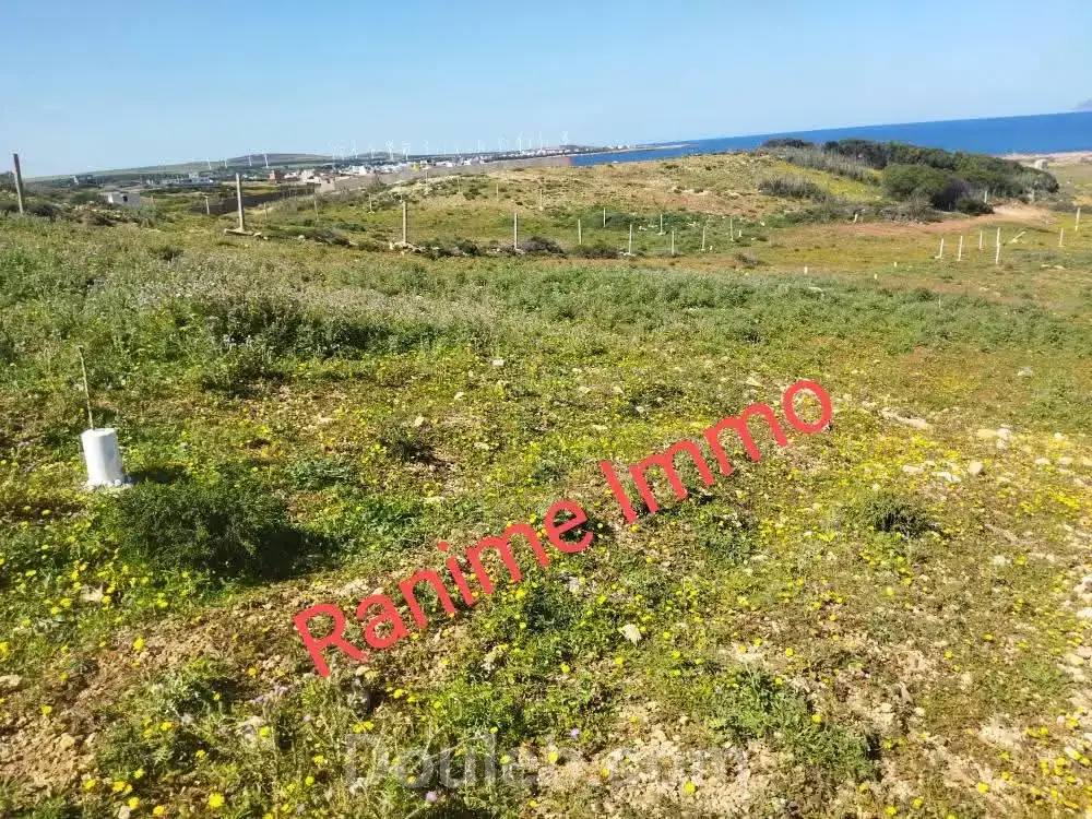 Terrain de 1520m2 a la mer el haouaria - Miniature 4