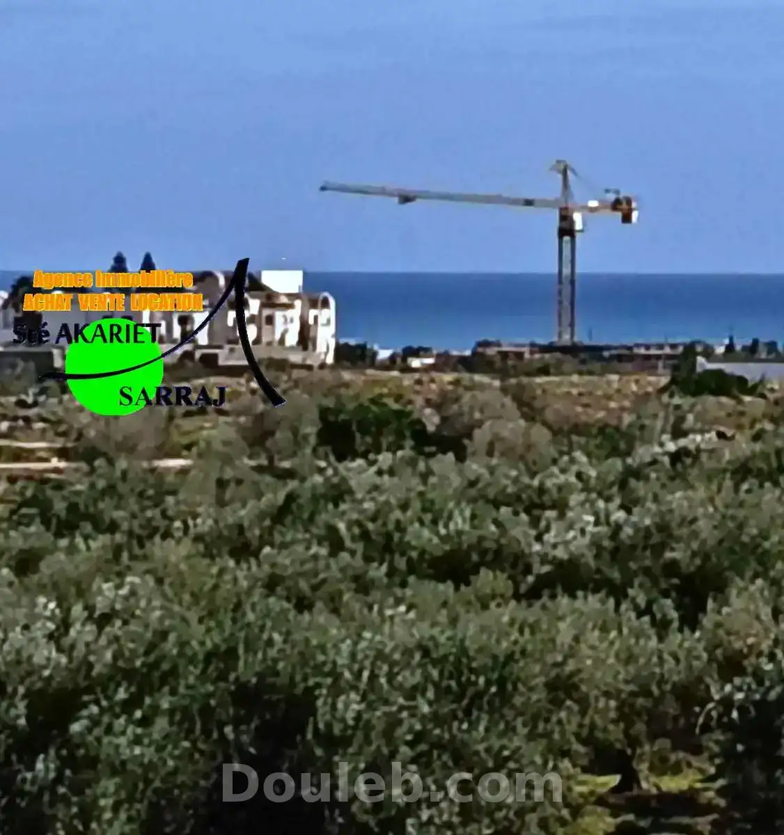 Lot d'invesstisement 1hectare en face mall sousse - Miniature 4