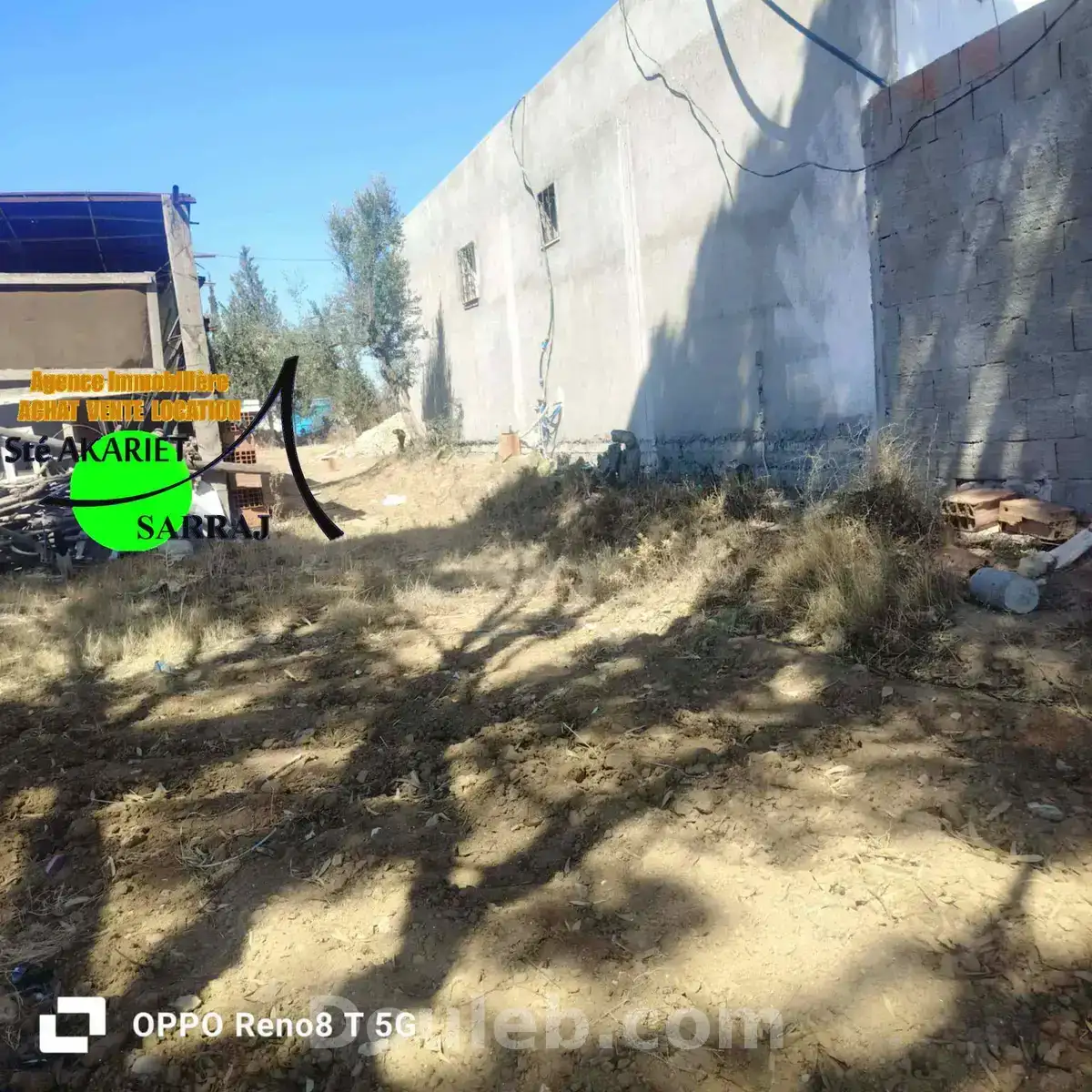 Senia 1hectare et 6000m à kalaa seghira - Photo 1