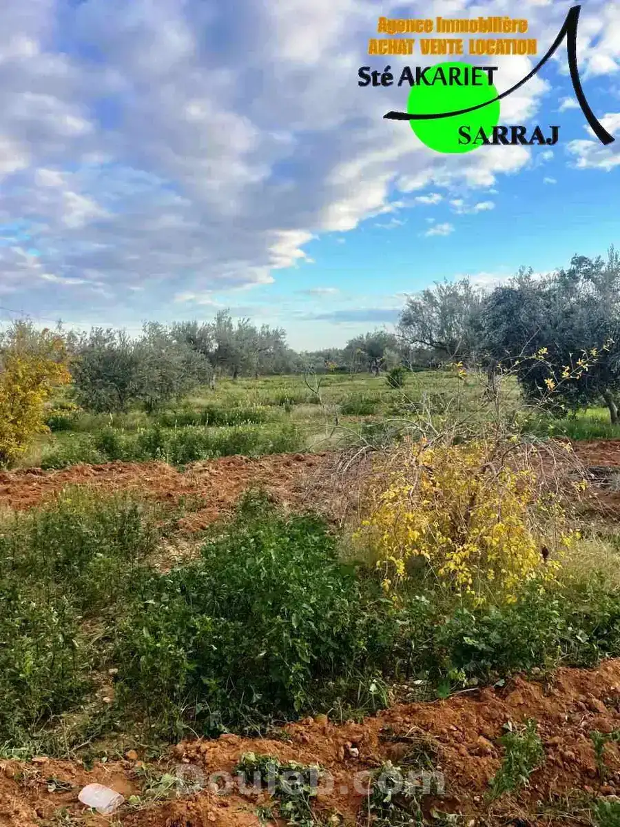 Senia clôturé entre kalaa kbira et kalaa sghira - Miniature 2