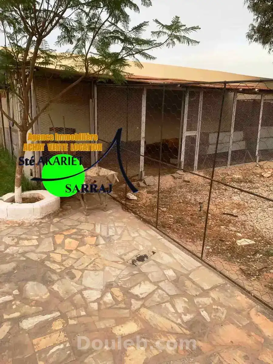 Senia clôturé entre kalaa kbira et kalaa sghira - Miniature 3