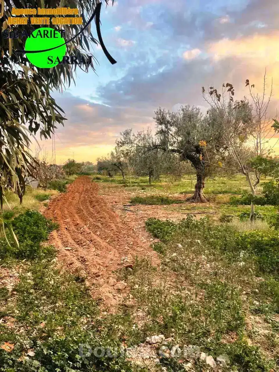 Senia clôturé entre kalaa kbira et kalaa sghira - Miniature 5