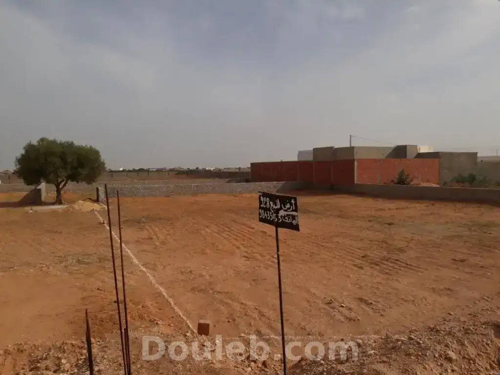 Terrain 928 m2 à rt gremda km11 rocade sfax - Miniature 5