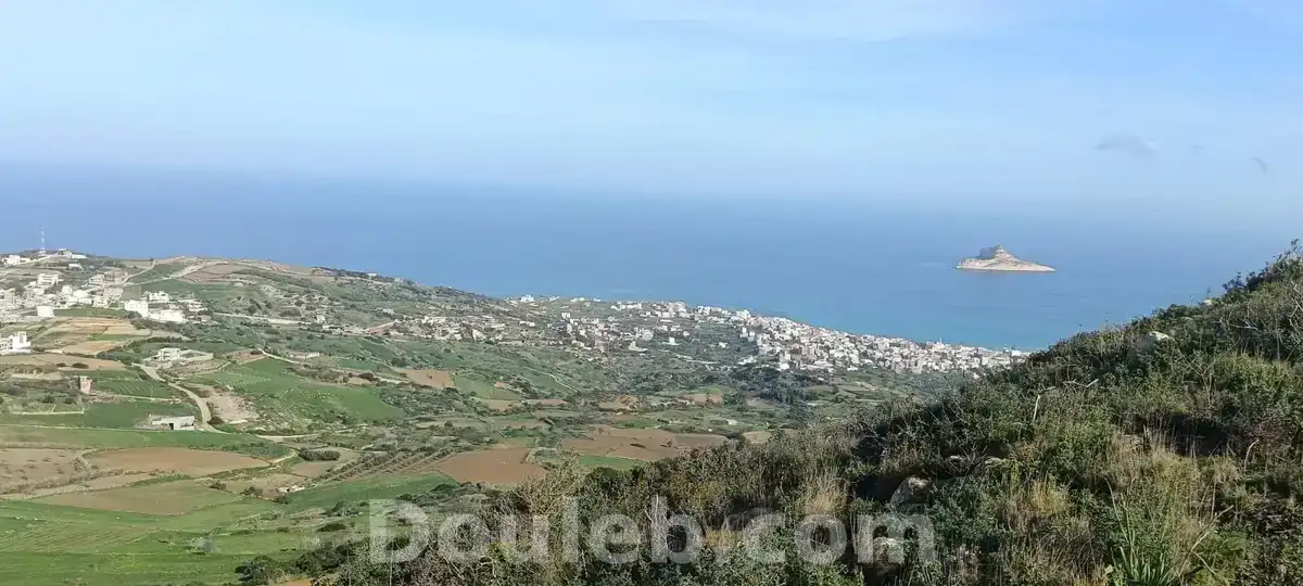 Terrain vue sur mer à rafraf - Miniature 2