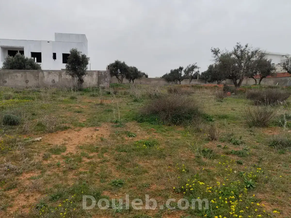 Borj youssef vnt ter 1000m2 - Miniature 2